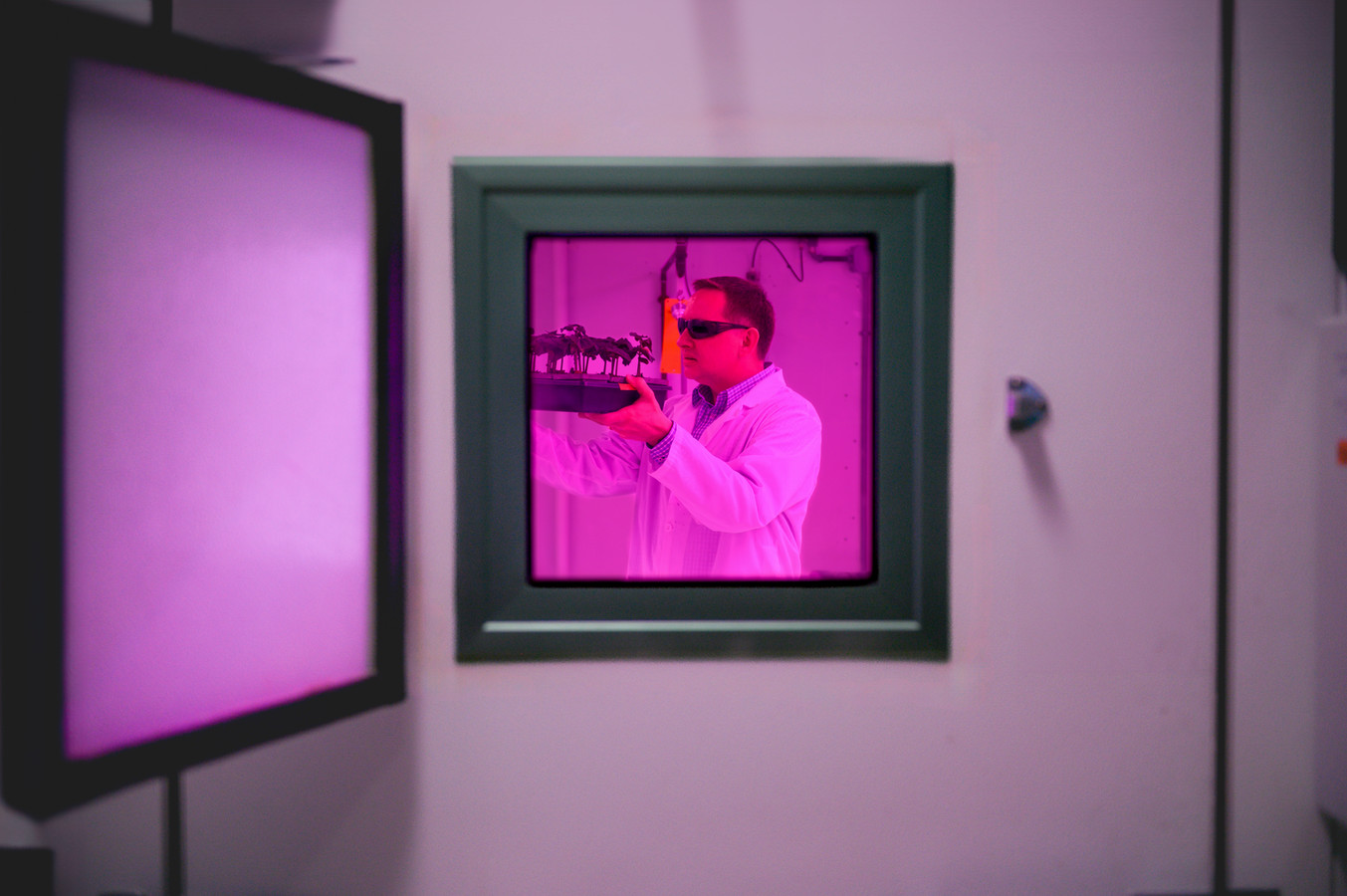 Bogumil Karas, PhD, Assistant Professor in Biochemistry